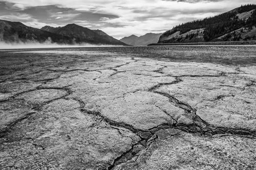 图片来源：《新科学家》