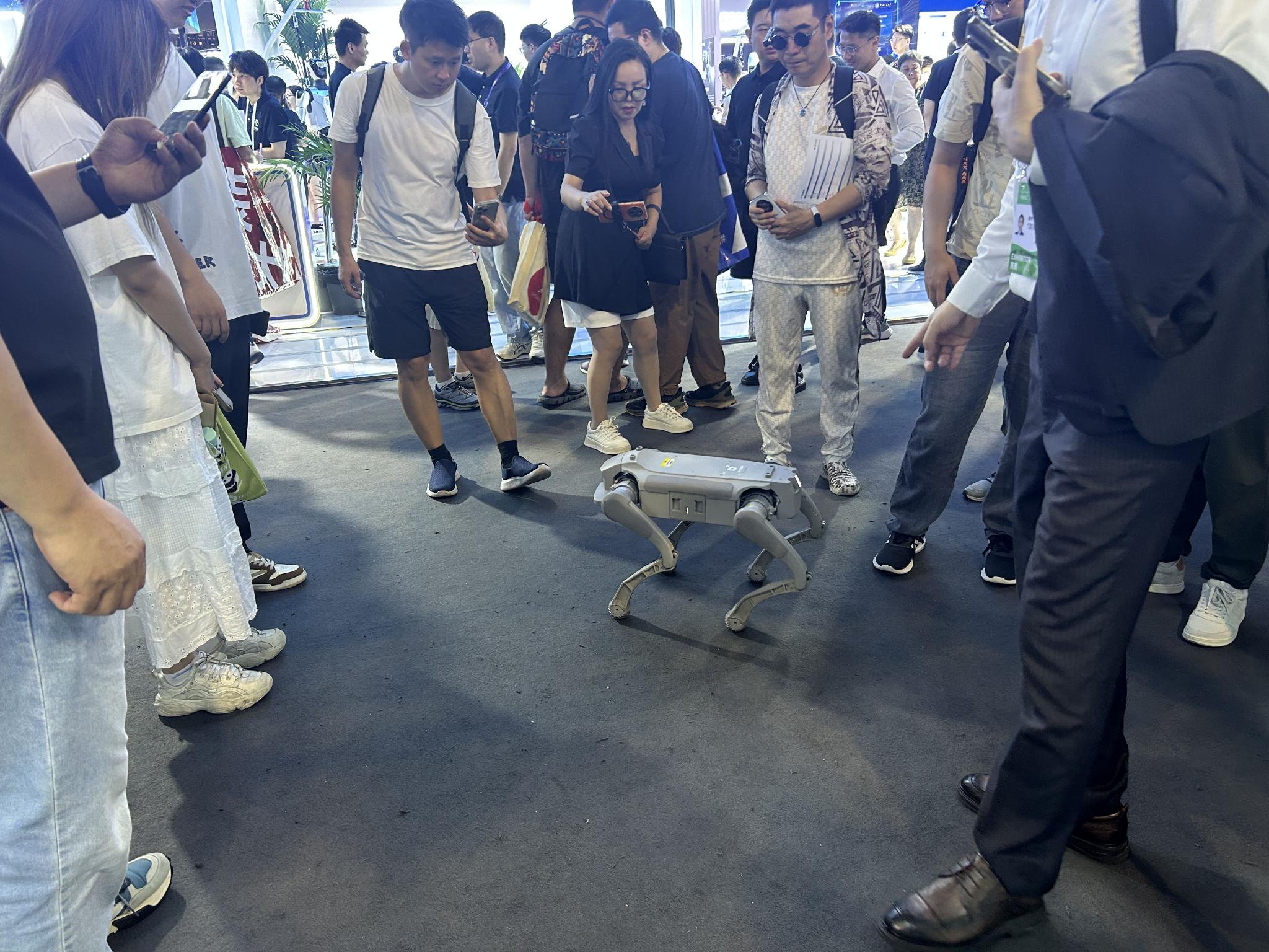 上证报记者 操子怡 摄