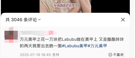 图片来源：小红书截图