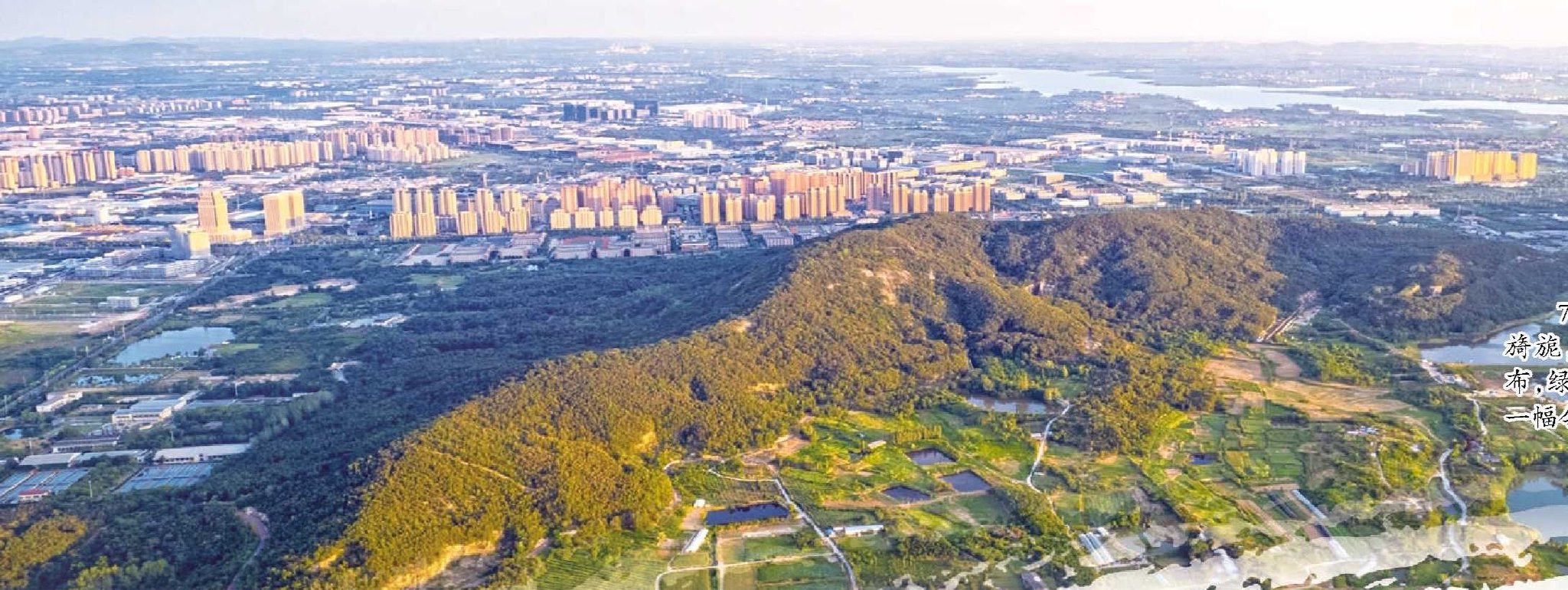 真金白银 筑牢生态屏障|淮南市_新浪财经_新浪网