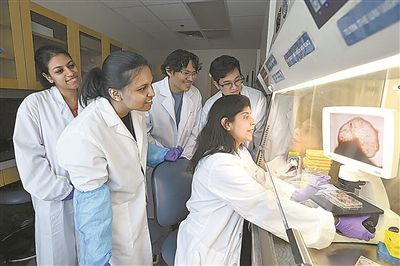 研究团队在计算机中进行模拟分析。图片来源:约翰斯·霍普金斯大学