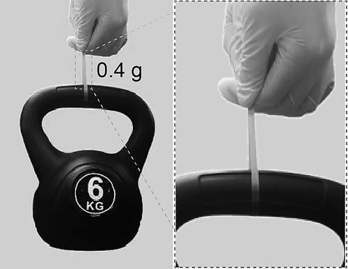  兰州化物所供图