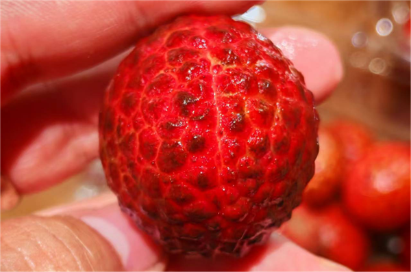 90%的人都不知道的水果去皮方法！只需找准这些隐藏开关