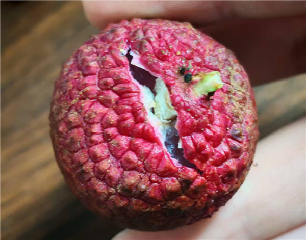 图源：自己拍的