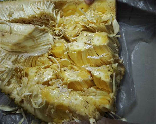 图源：自己拍的