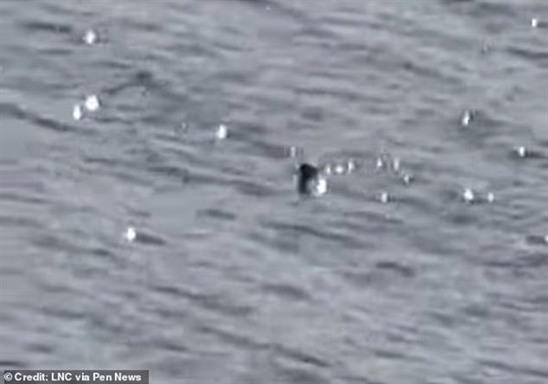 尼斯湖水怪再次被拍到 座机画质引质疑 网友：缺游客了吧