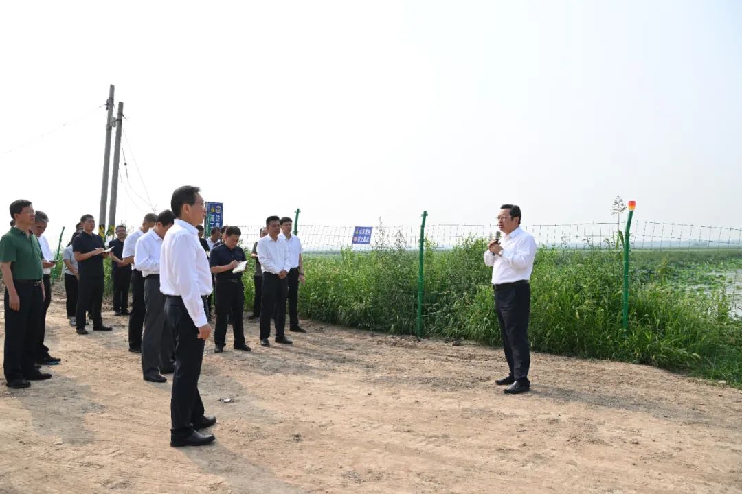 雄安新区召开白洋淀旅游环境整治提升工作现场会