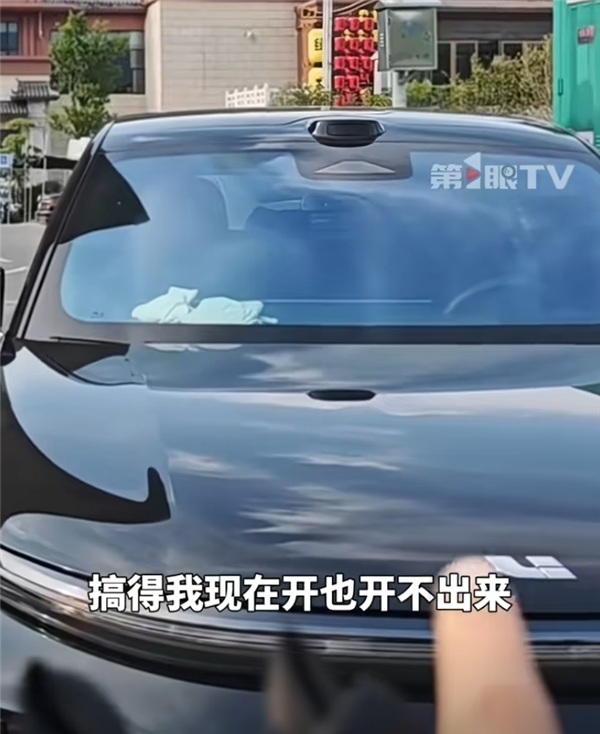 羊毛洪尼的女主人被汽车的所有者带到侧面：她