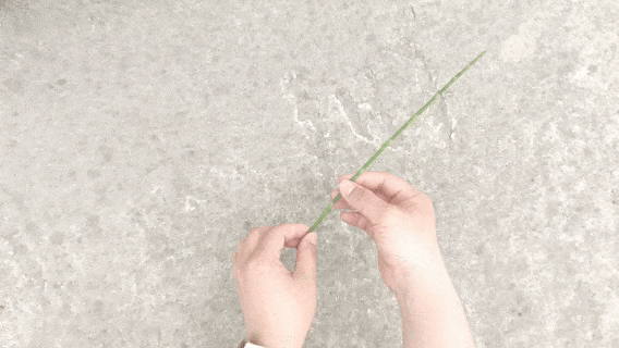 有谁小时候玩过吗？来源：小编   出镜：仪小梅
