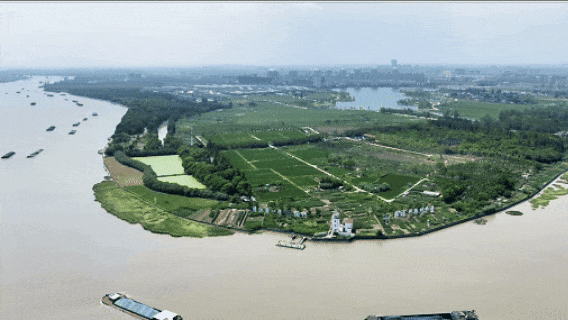 浦江镇全域土地综合整治项目区 来源：上海市建设用地和土地整理事务中心