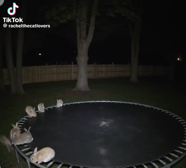 ▲ 视频画质符合夜间监控特点，且背景是完全静止。