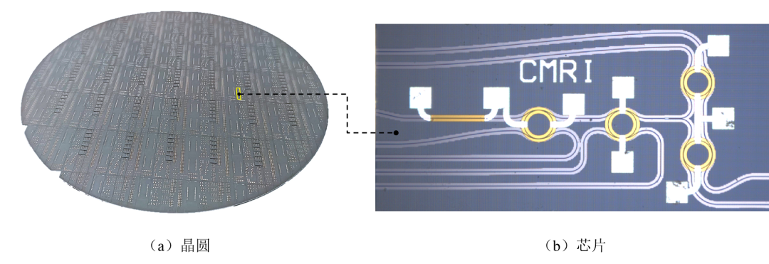 ▲ 自研硅基外腔激光器 (a) 晶圆及 (b) 芯片（片上刻蚀 CMRI 标识）