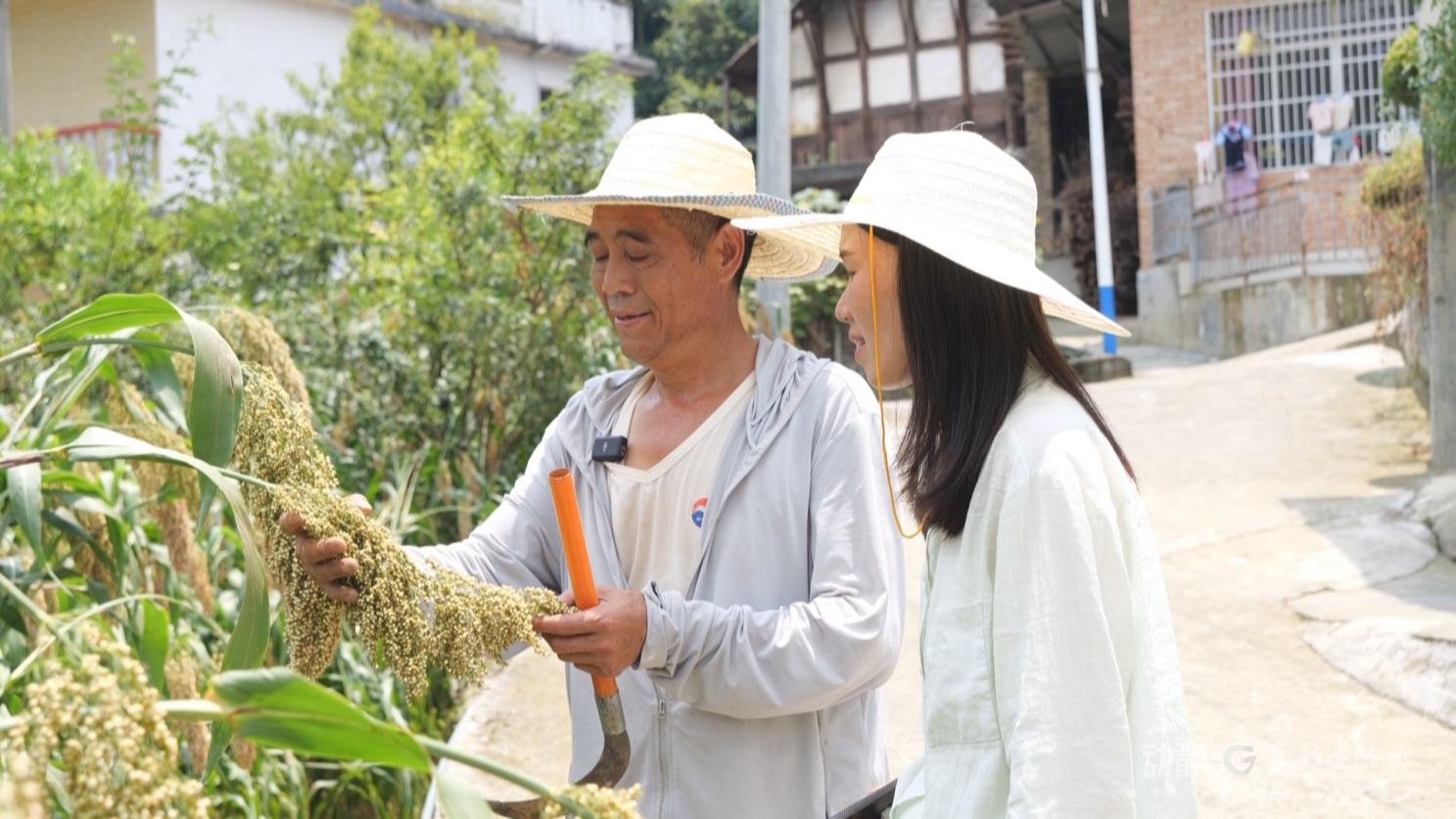 遵义市仁怀市茅坝镇官院村村民陈云江