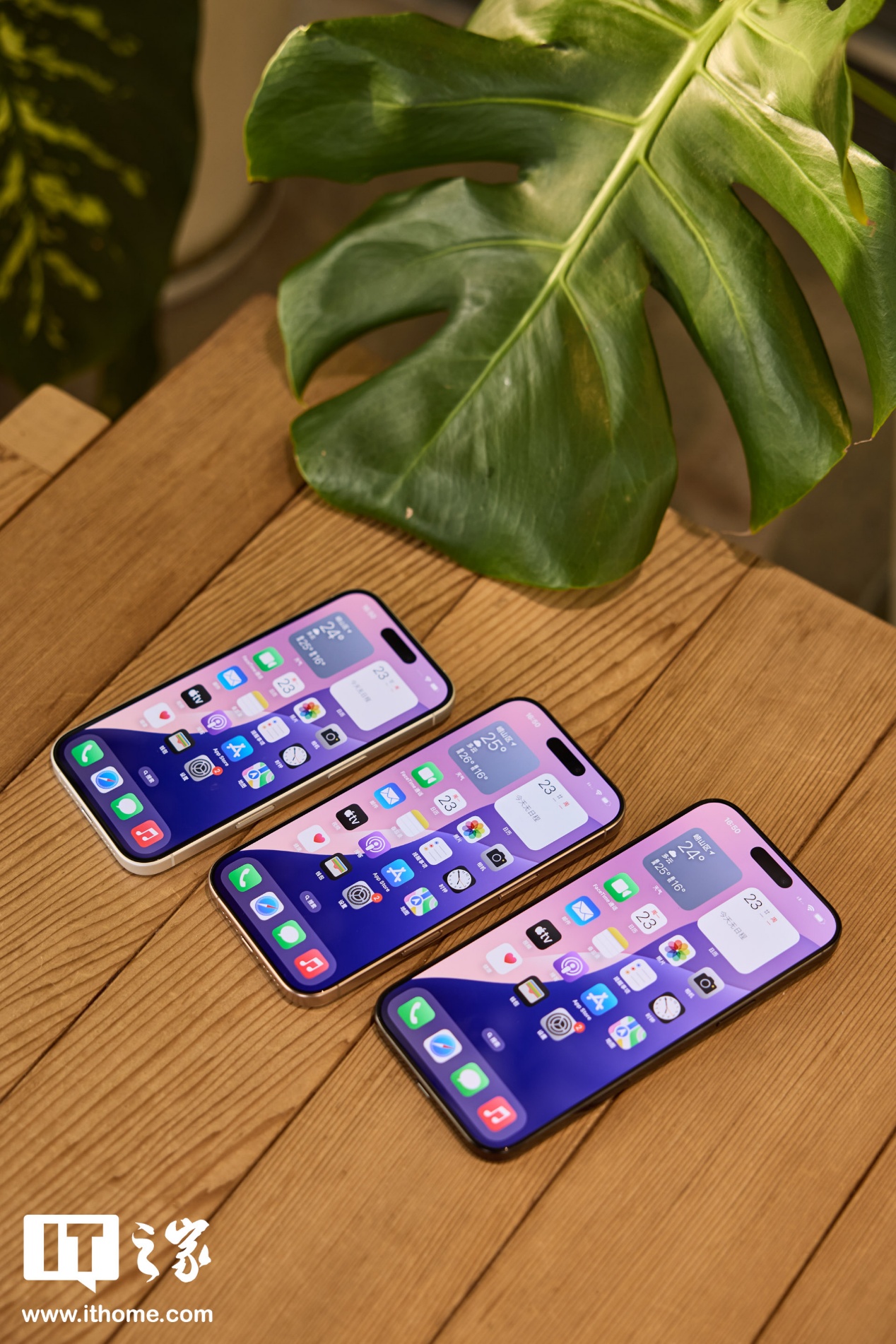▲ IT之家图赏：iPhone 16 系列手机