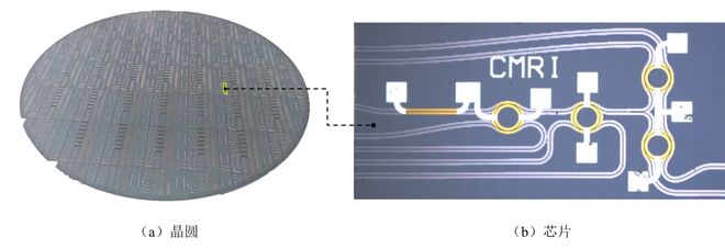▲ 自研硅基外腔激光器 (a) 晶圆及 (b) 芯片（片上刻蚀 CMRI 绚丽）