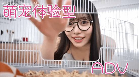 责任编辑：建嘉