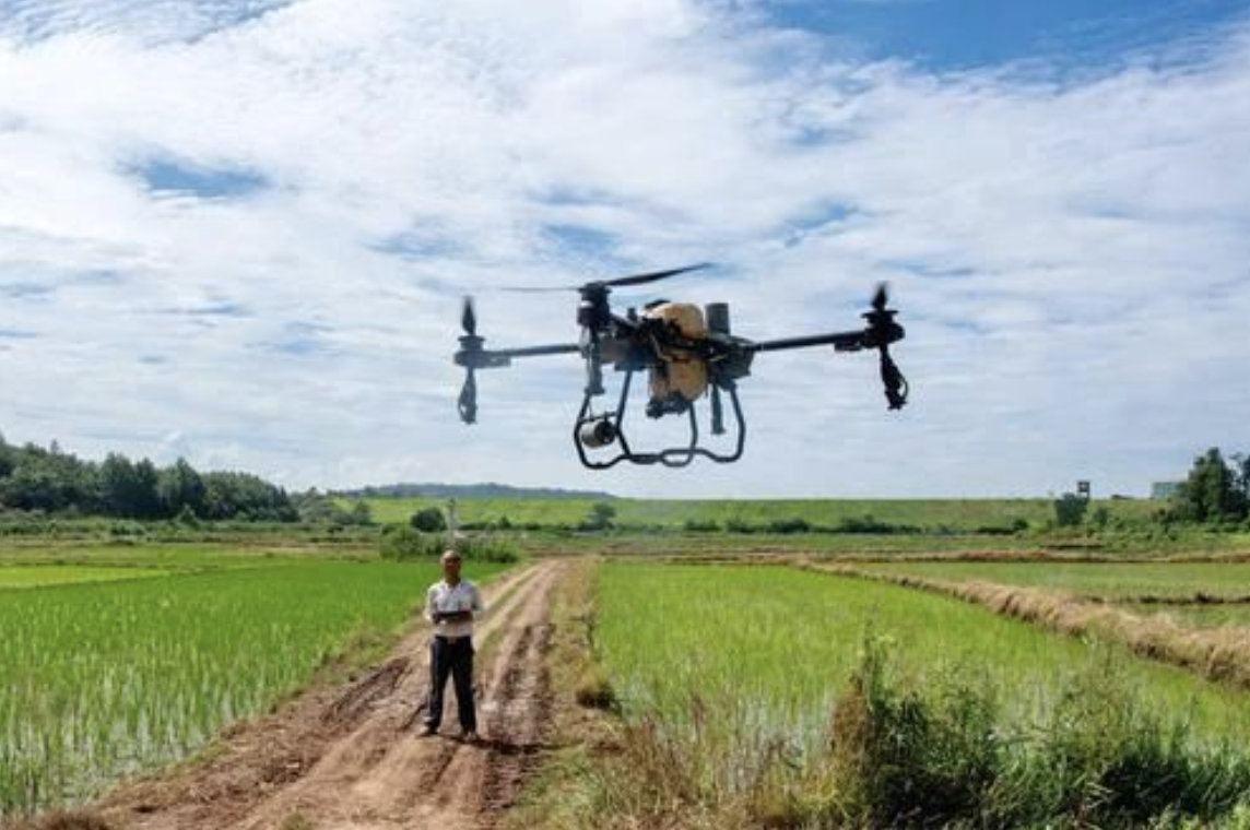 在江西抚州金溪县陈坊积乡优质晚稻种植基地，飞手操控着新型北斗导航植保无人机进行施肥、喷药作业。