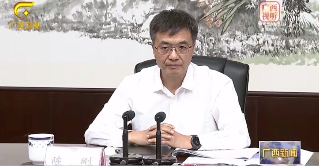 广西自治区党委书记陈刚会见王文京一行|人工智能_新浪财经_新浪网