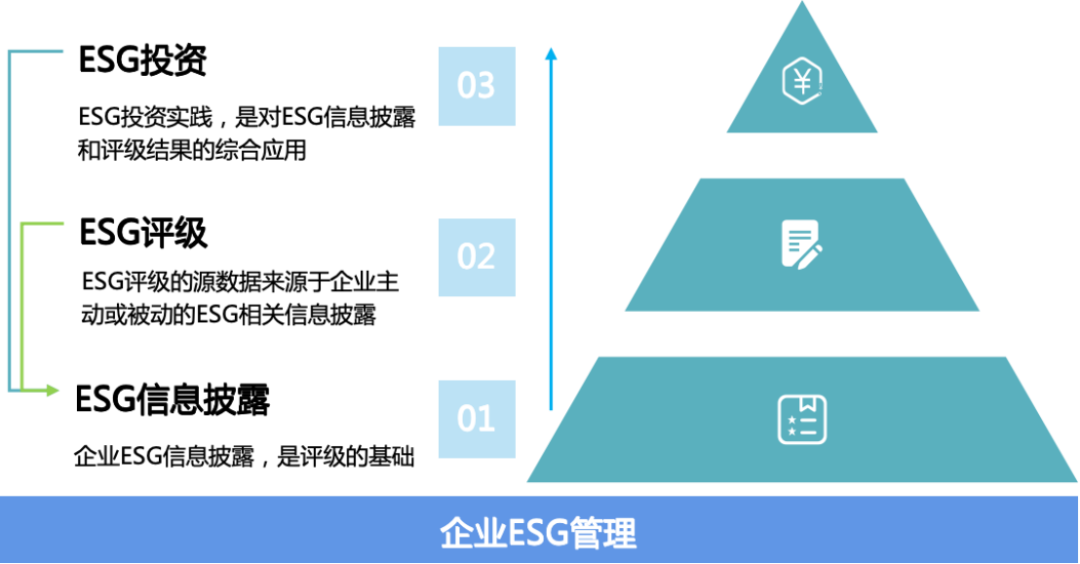 IIGF观点 | 邓洁琳：发挥ESG作用，支持“反内卷”有序市场建设|ESG_新浪财经_新浪网