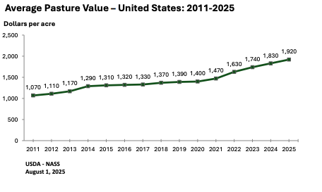 风险提示及免责条款