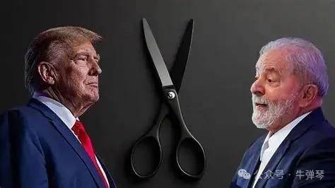 美国的7500怎么表示美国对欧盟瑞士印度巴西加拿大加征高关税_https://www.jmylbn.com_新闻资讯_第4张