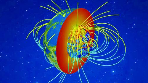 南方科技大学供图