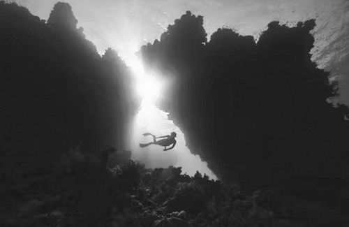 图片来源：unsplash