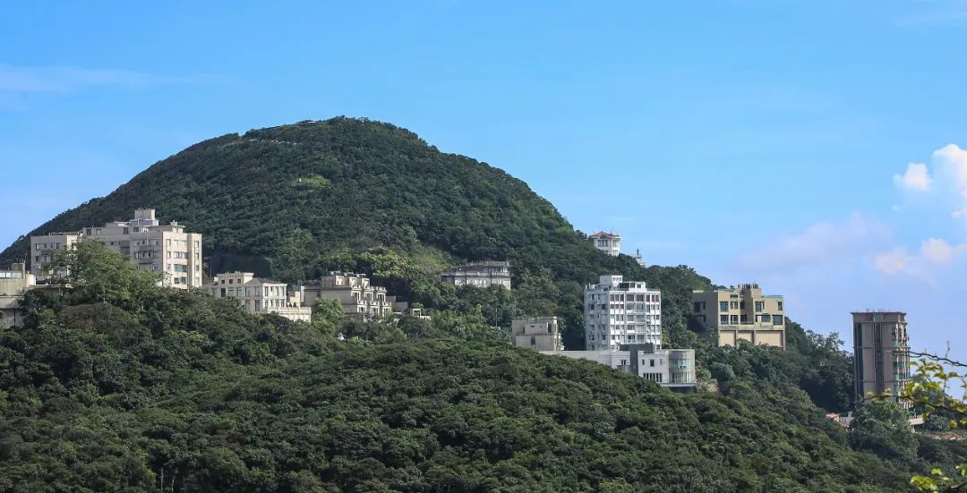 香港太平山顶的部分豪宅。图片来源:视觉中国