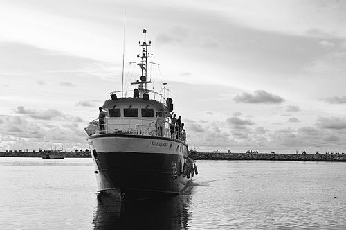 东海研究站供图