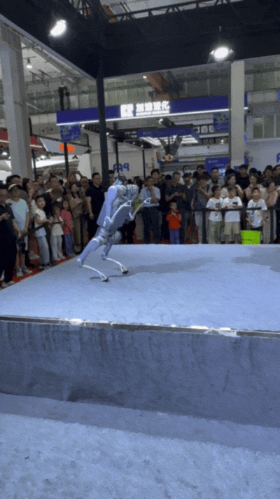   宇树科技人形机器人R1  