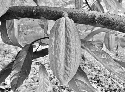 图片来源：unsplash