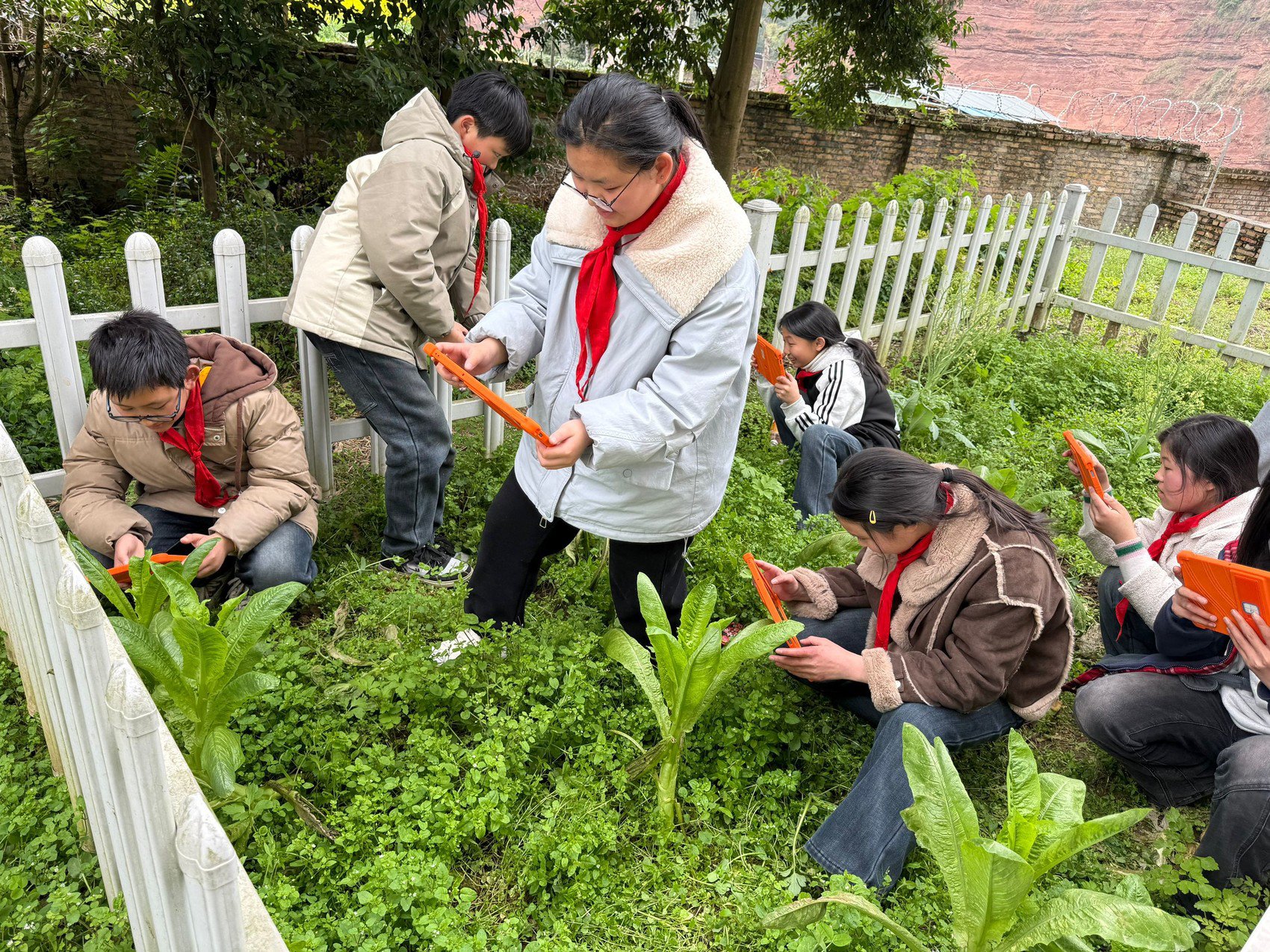 孩子们拍下蔬菜上的病虫害。受访者供图