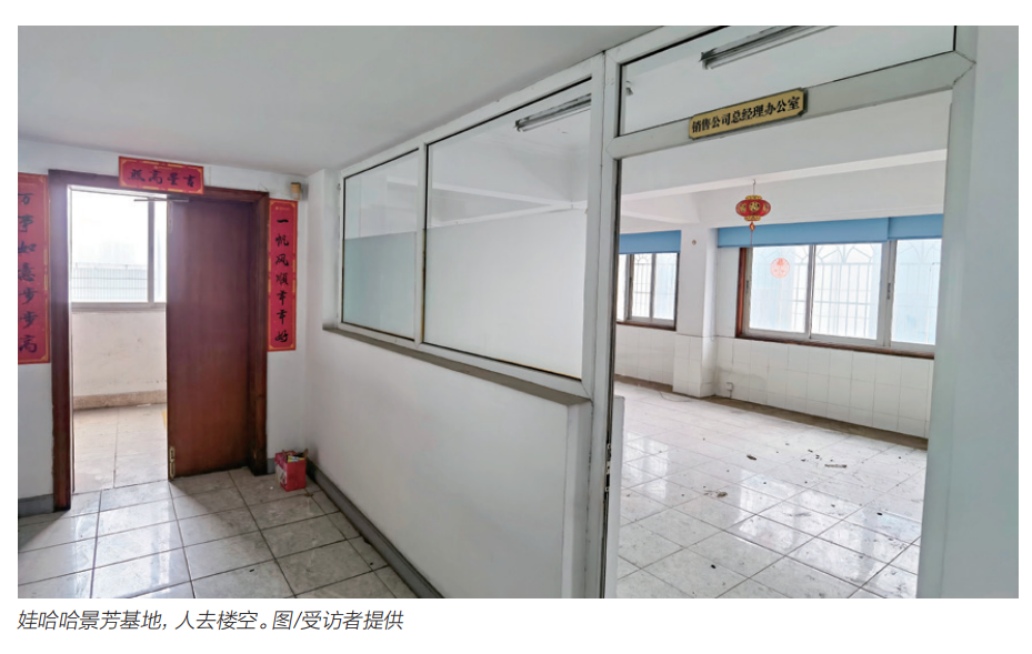 娃哈哈继承者们各自留有后手_https://www.izongheng.net_企业_第3张