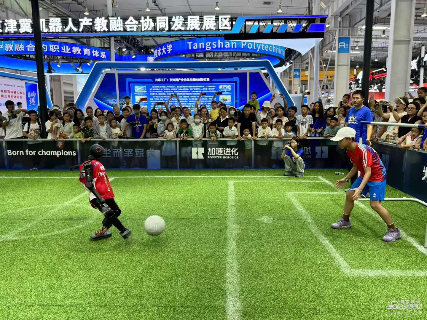 别盯数据了！宇树王兴兴：模型才是机器人真瓶颈