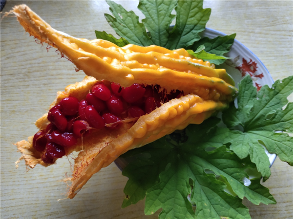 图片来源：自己拍的