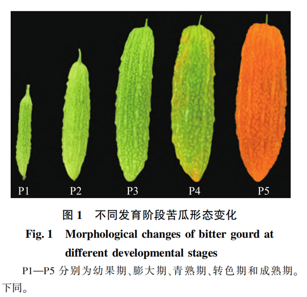 图片来源：参考文献[15]