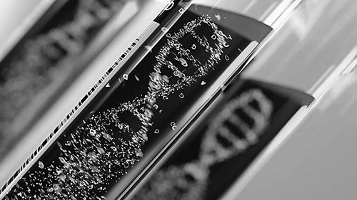 图片来源：Shutterstock