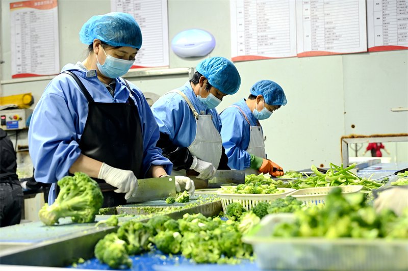 脱水蔬菜加工：走进健康食材的新时代
