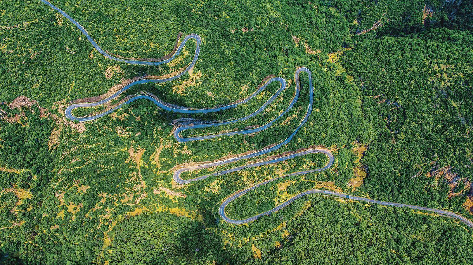 华池县大凤川林场。庆阳融媒记者 陈飞 摄