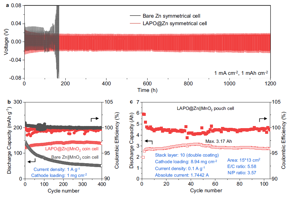 图5| 不同电极电池的电化学性能 