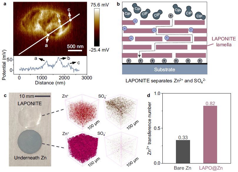 图1| LAPONITE 的阳离子/阴离子分离效果 