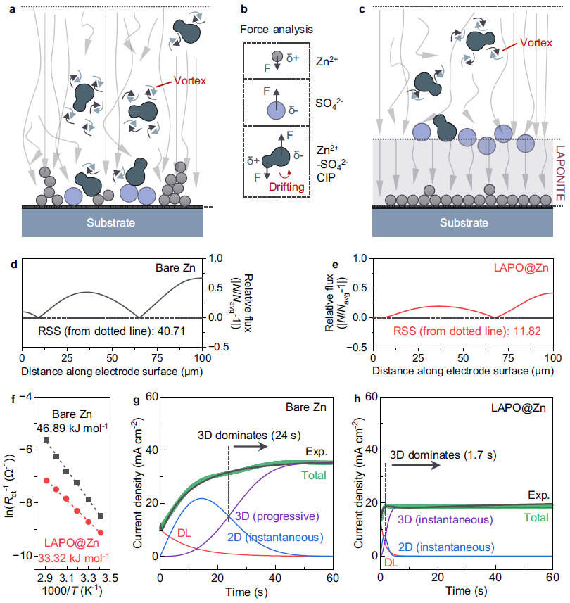 图2| 不同电极上的扩散行为 