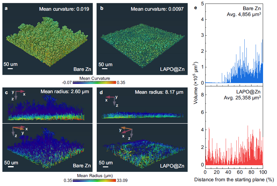 图4| 不同电极上锌沉积物的 X 射线 CT 成像 