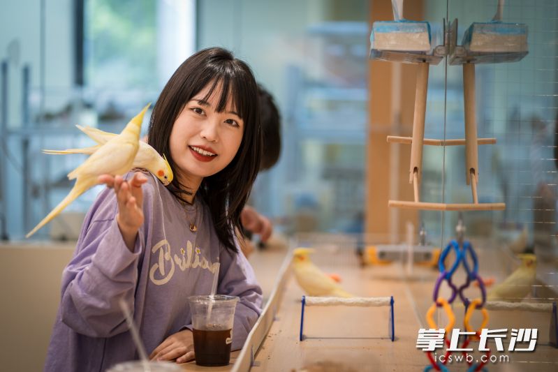 “有只小鸟”飞翔新赛道,海归女孩在雨花区打造湖南首家鸟咖|来长沙 创未来|长沙市_新浪财经_新浪网