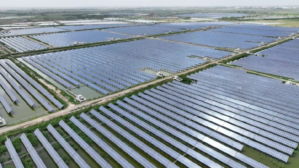 宁夏银川市贺兰县常信乡一处“渔光一体”水产养殖基地。新华社记者 王鹏 摄