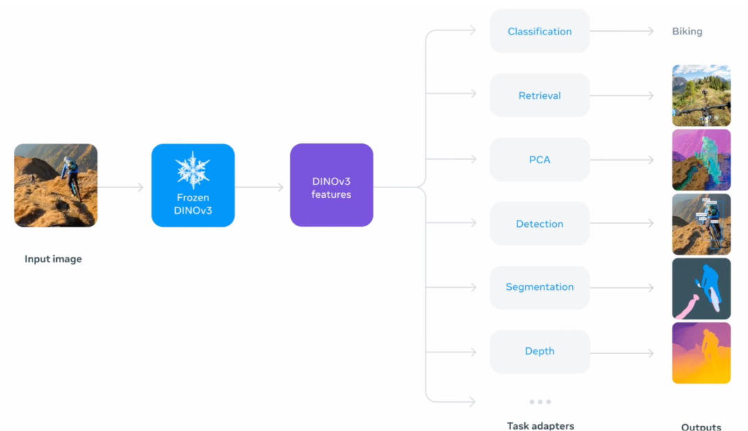 DINOv3 作为通用视觉特征提取器的工作流程，以及它在不同下游任务中的应用方式。