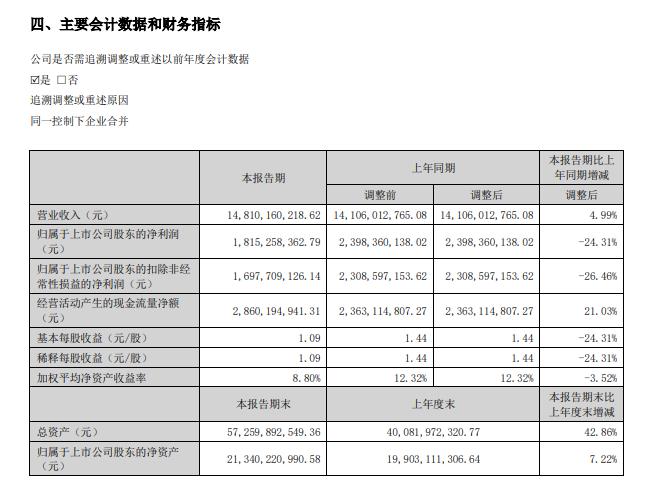 华润三九2025年半年度报告截图