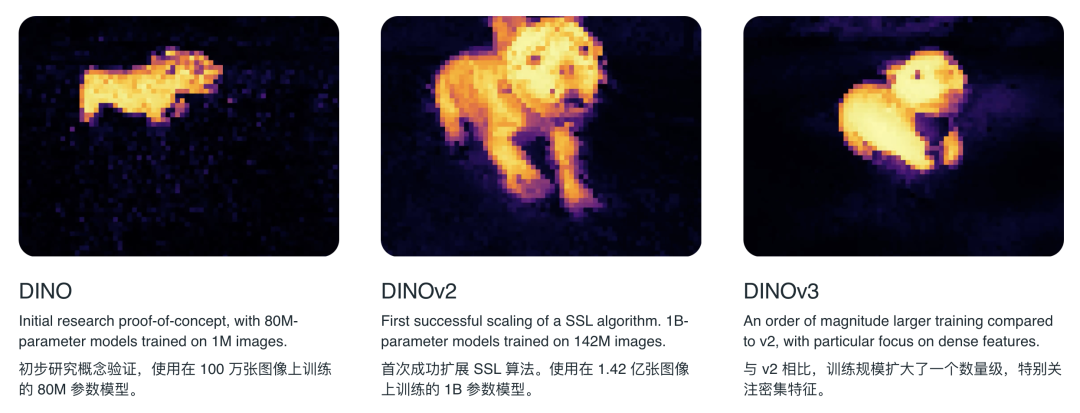 从 DINO、DINO v2 到 DINOv3。