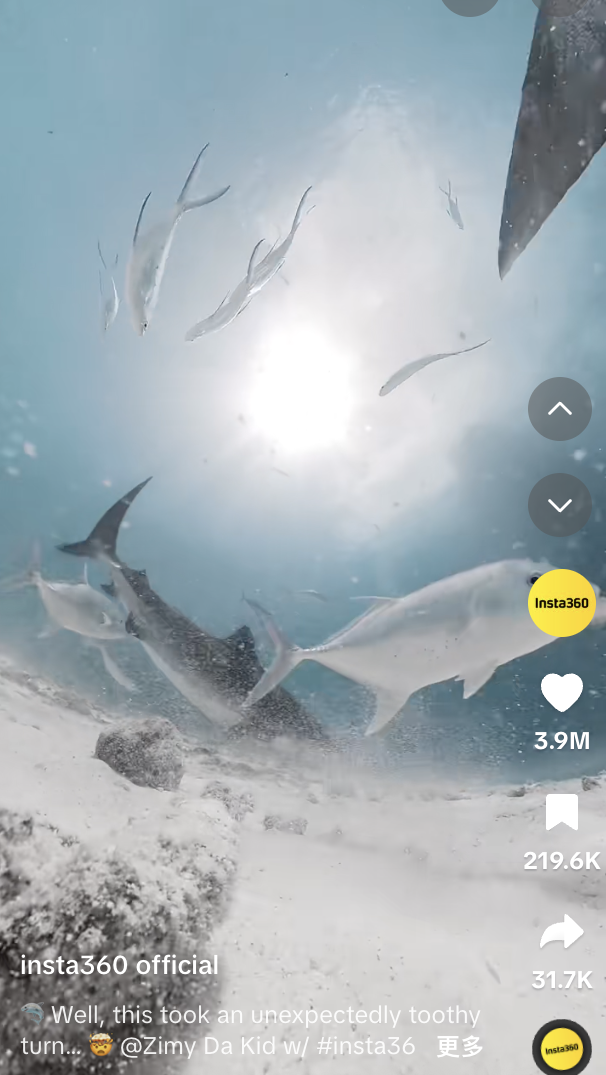 酬酢媒体上使用Instagram360全景相机和畅通相机拍摄的视频