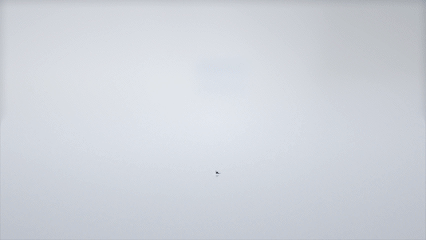 细胞制片夹怎么用Xpro 90｜样本进，结果出，属于病理科的流水线_https://www.jmylbn.com_新闻资讯_第4张